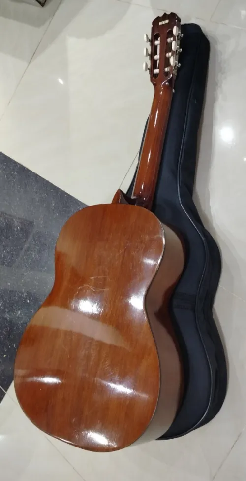 Des Guitares classiques professionnel