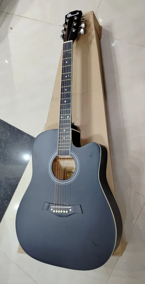 Guitares acoustiques folk