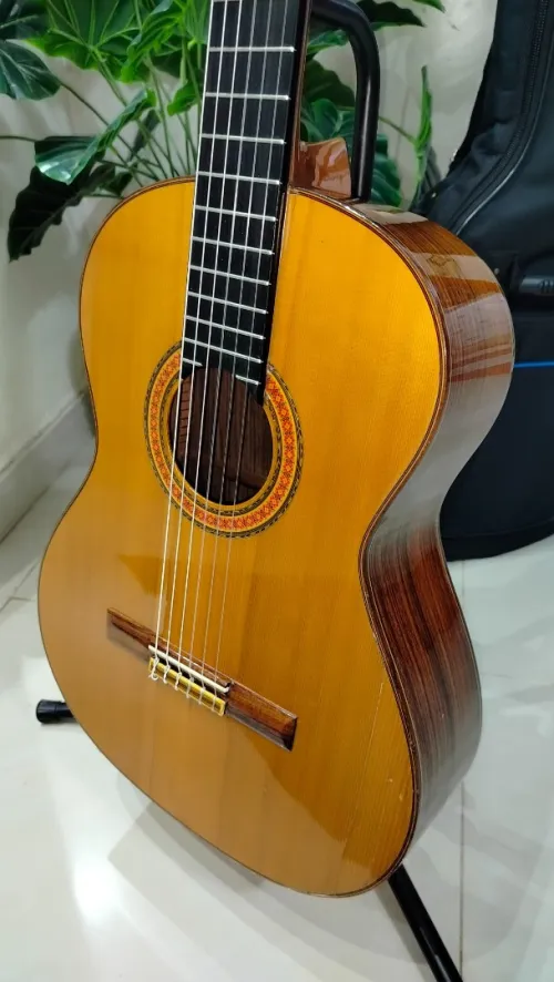 Des Guitares classiques professionnel