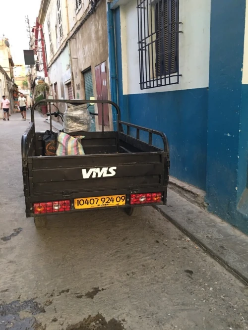 VMS VM12 2024