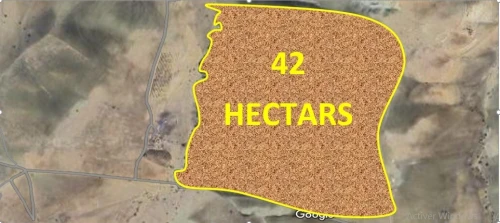 Vente Terrain Agricole Tiaret Guertoufa