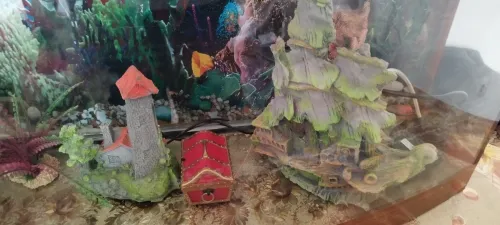 Aquarium