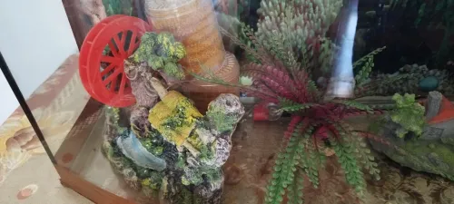 Aquarium