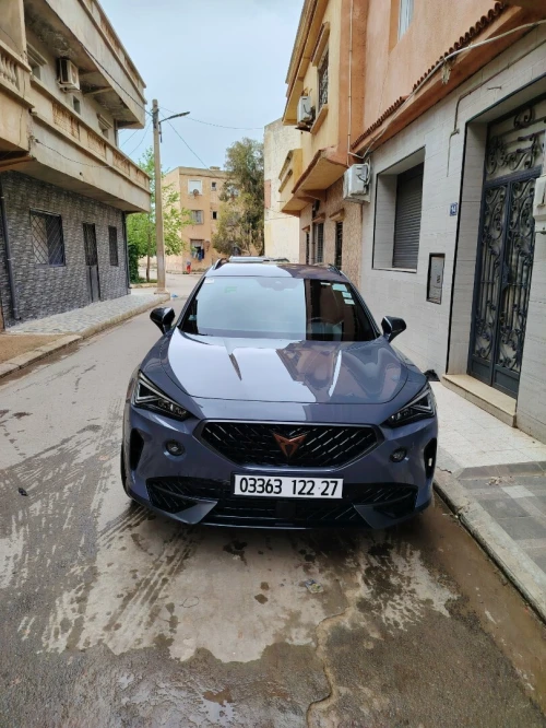 Cupra  Fermonter 2022 