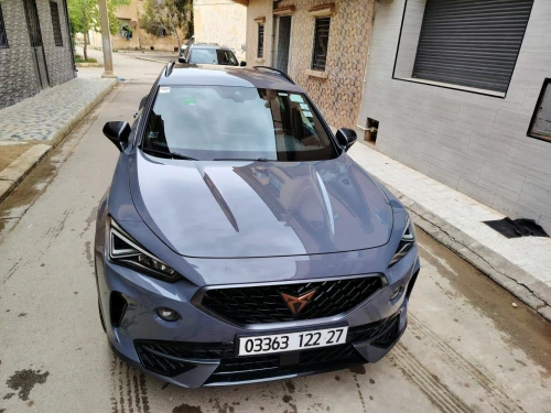 Cupra  Fermonter 2022 