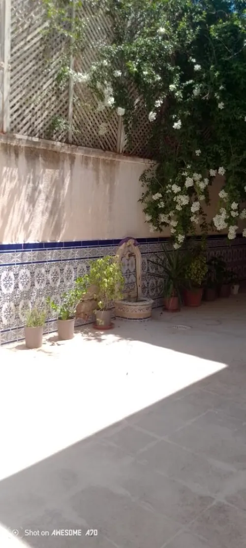 Vente Villa Alger Staoueli 11