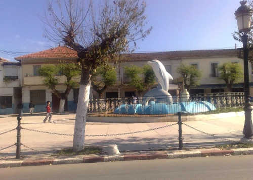 Vente Terrain Alger Staoueli