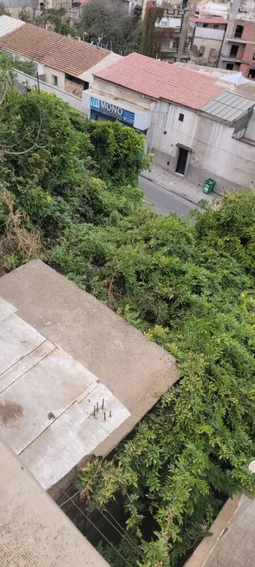 Vente Villa Alger El biar