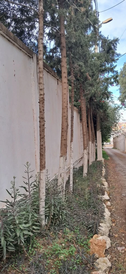 Vente Terrain Alger Bordj el kiffan
