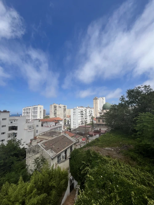 Vente Terrain Alger Belouizdad