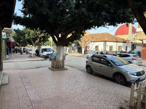 Location Local Tipaza Hadjout