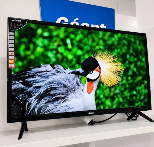 Télévision géant 32 pouce 42 pouce simple/ Smart
