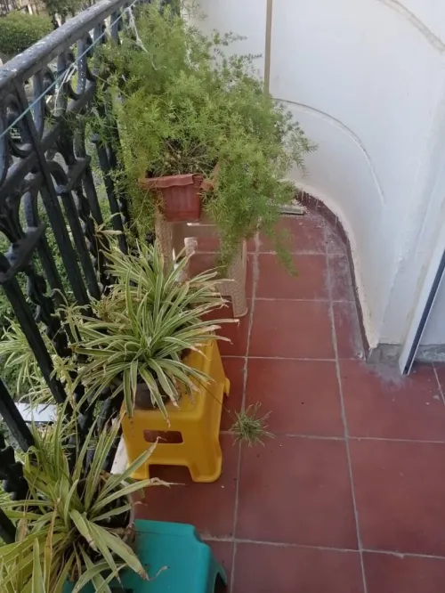 Vente Appartement F3 Alger Alger centre