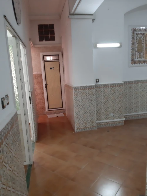 Location Appartement Alger Alger centre