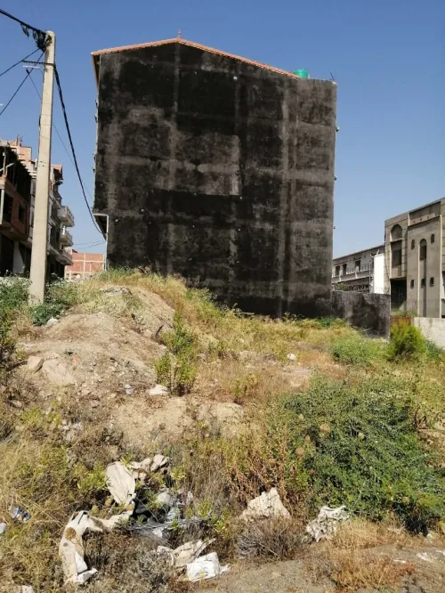 Vente Terrain Blida El affroun