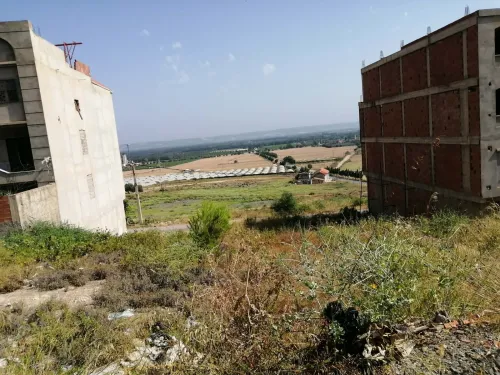Vente Terrain Blida El affroun