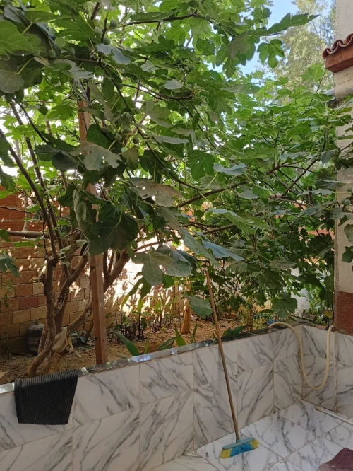 Vente Villa Béjaïa Bejaia