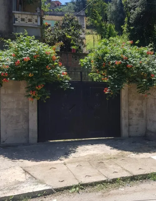 Vente Villa Béjaïa Melbou