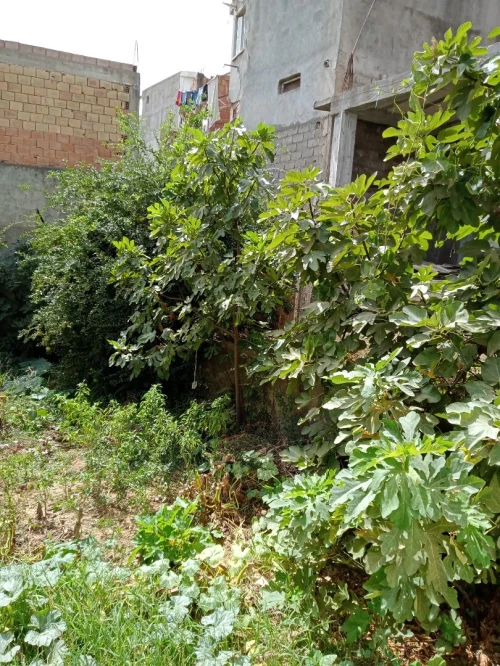 Vente Villa Béjaïa Bejaia