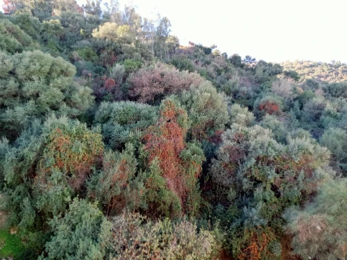 Vente Appartement F3 Béjaïa Bejaia