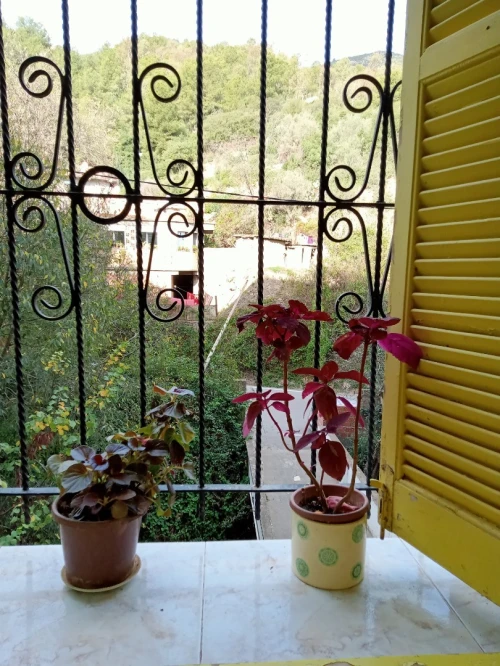 Vente Appartement F5 Béjaïa Bejaia