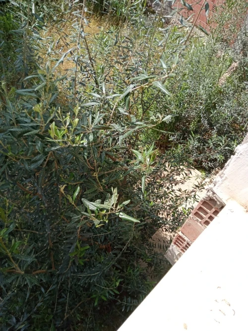 Vente Villa Béjaïa Bejaia