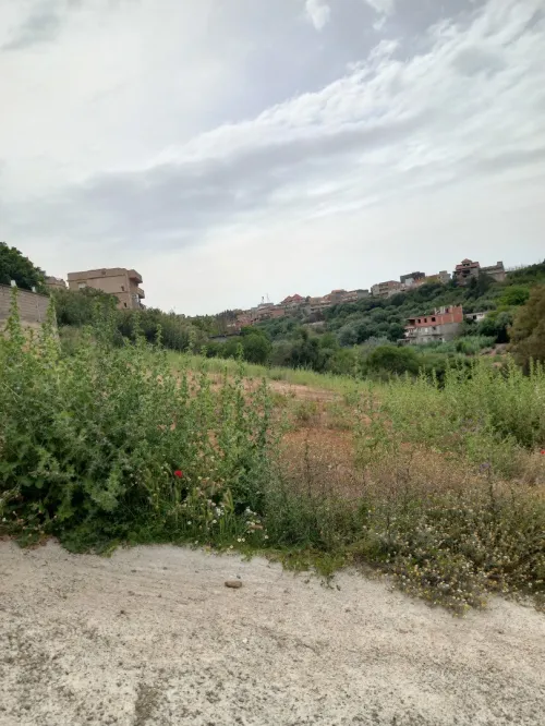 Vente Terrain Alger Saoula