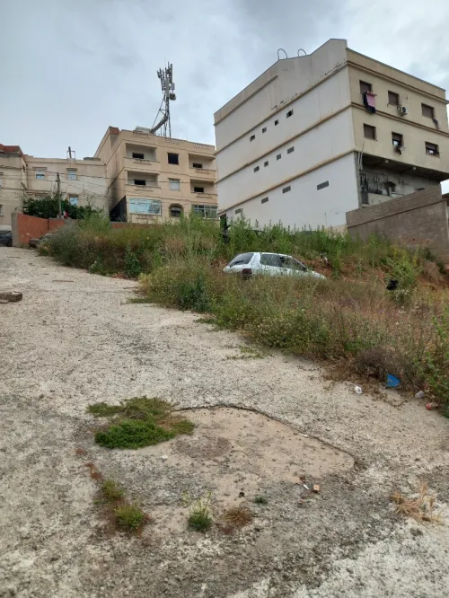Vente Terrain Alger Saoula