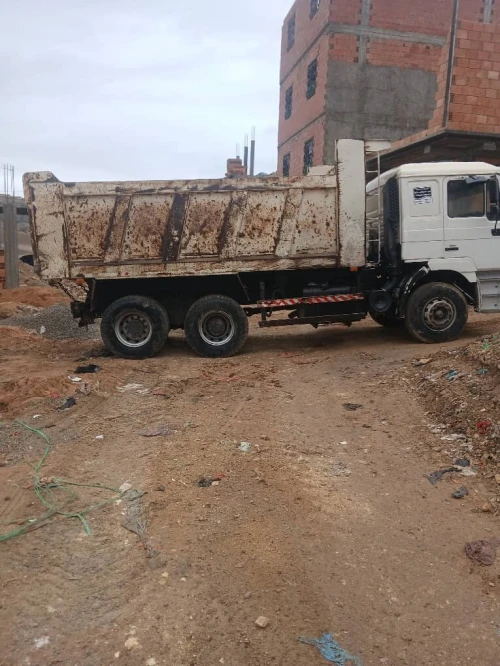 shackman camio 2013