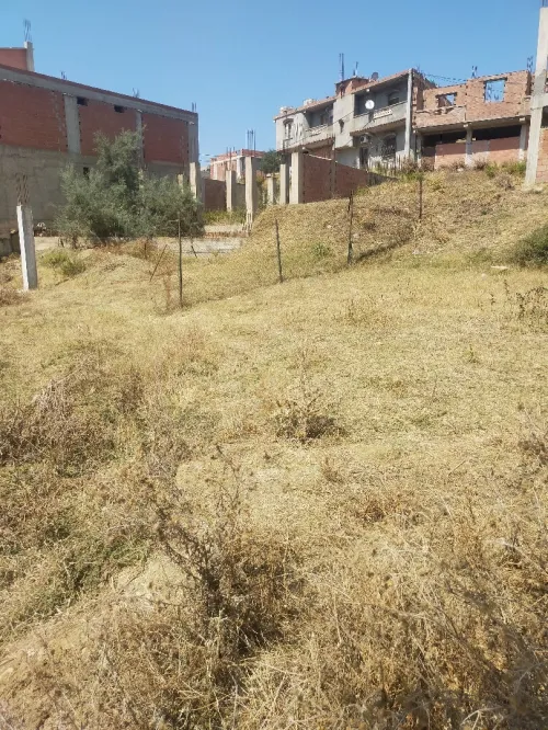 Vente Terrain Boumerdès Boudouaou