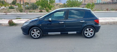 Peugeot 307 2007 Oxygo