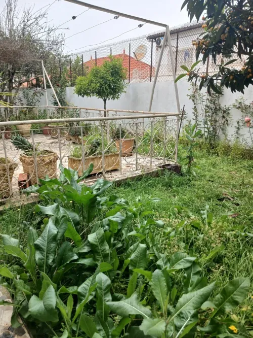 Vente Villa Alger Kouba