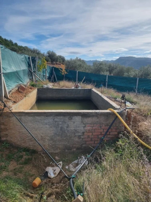 Vente Terrain Agricole Bouira Oued el berdi