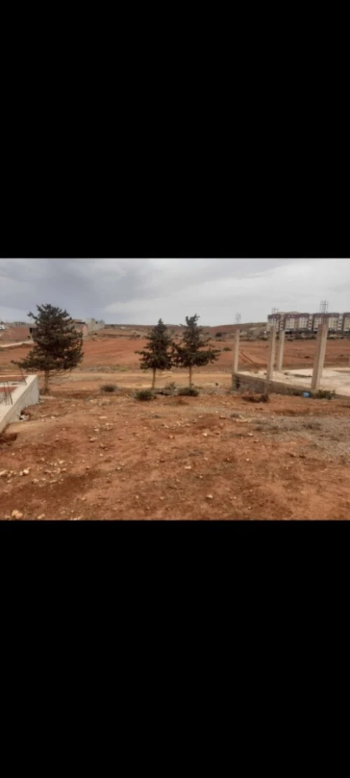 Vente Terrain Aïn Témouchent Ain el arbaa