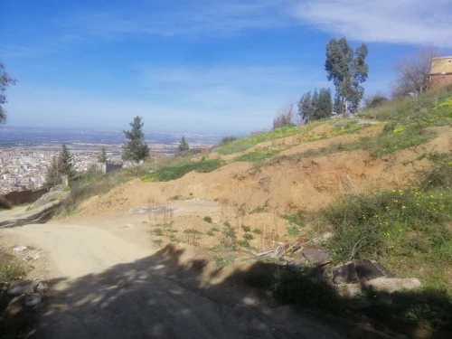 Vente Terrain Blida Blida