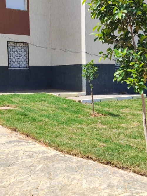 Vente Appartement F4 Chlef Chlef