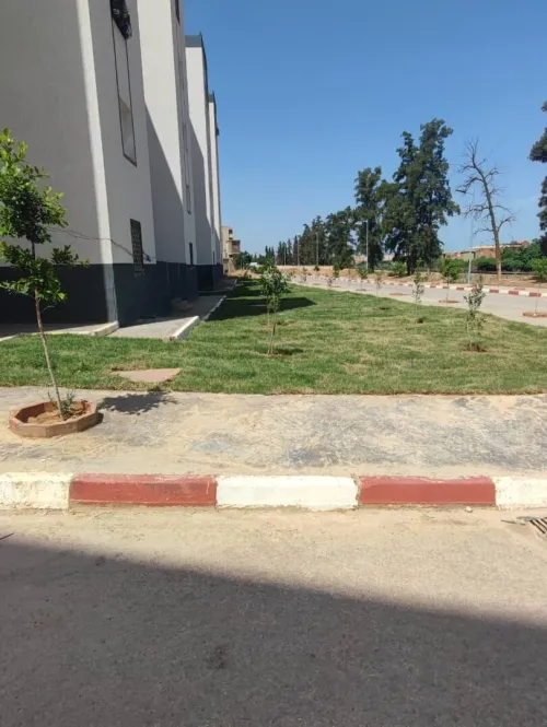 Vente Appartement F4 Chlef Chlef