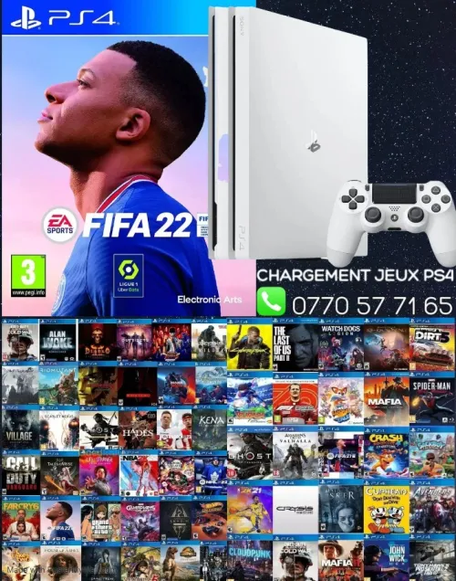 CHARGEMENT JEUX PS4 SUR VOTRE CONSOLE ( Assassin's Creed Valhalla ) Disponible Un Large Catalogue Disponible