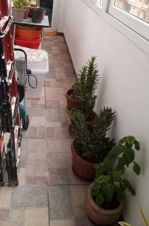 Vente Appartement Batna Tazoult