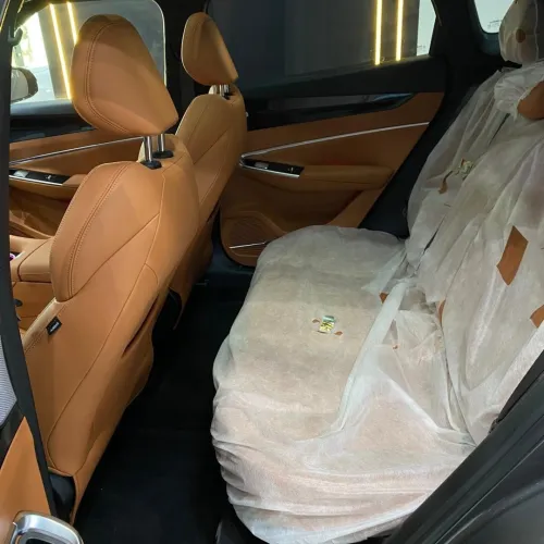 Geely Starray 2026 Bouy