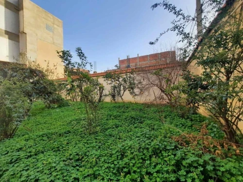 Vente Villa Boumerdès Hammedi
