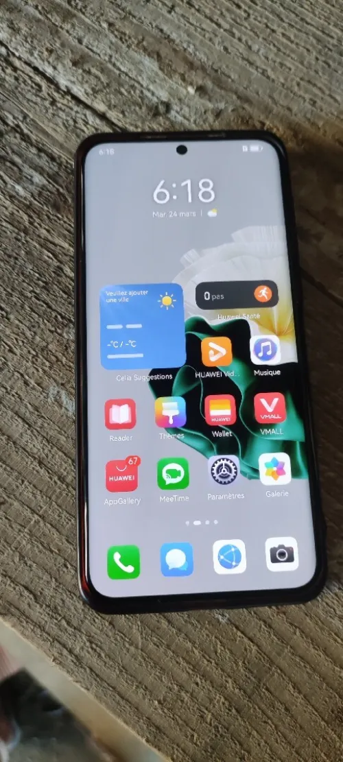 Huawei P60
