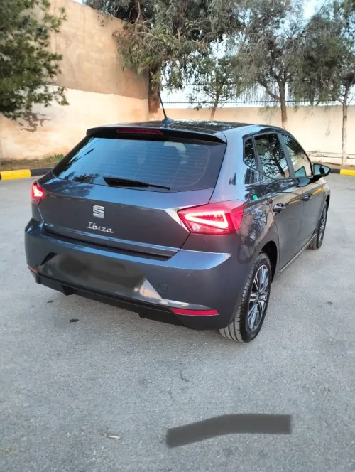 Seat Ibiza 2024 Style