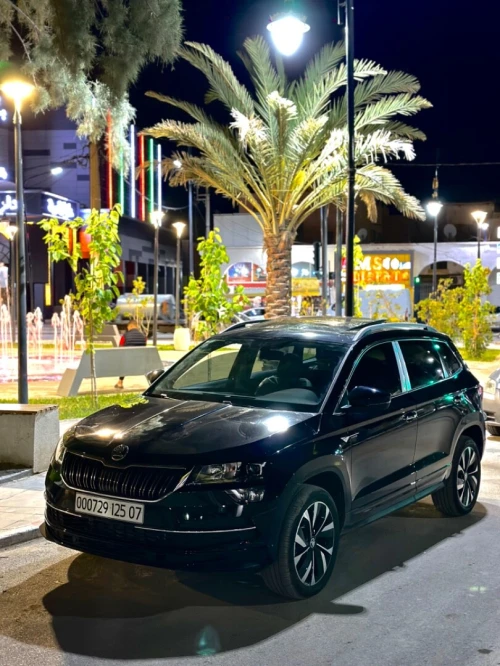 Skoda Karoq 2025 