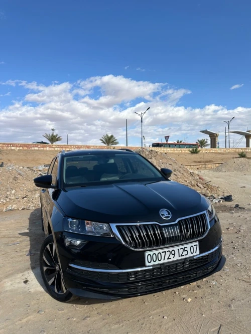 Skoda Karoq 2025 