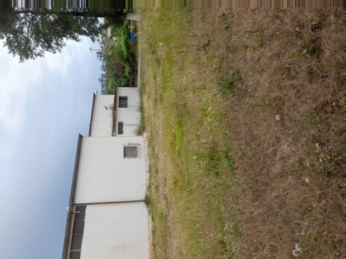 Location Terrain Agricole Alger Baba hassen