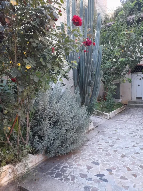 Vente Villa Alger Bir mourad rais