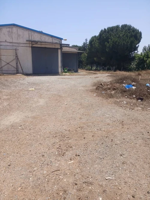 Location Hangar - Usine Alger Baba hassen