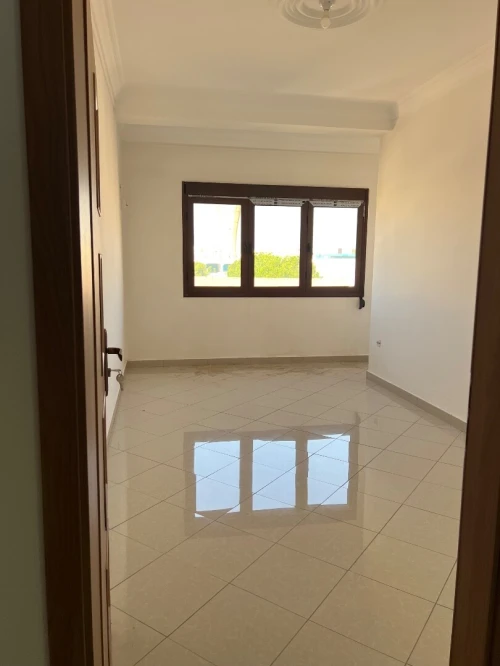 Location Immeuble Chlef Chlef