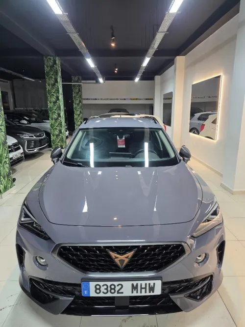Seat Cupra formentor 2023 Cupra 